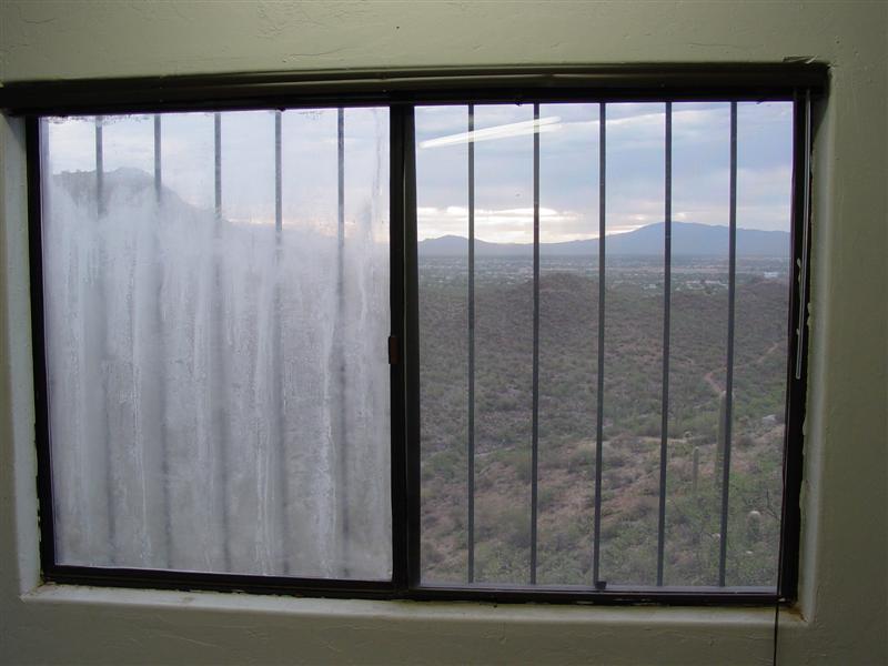 View from East Window